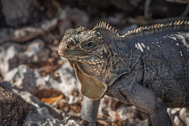 Similar image 22282582