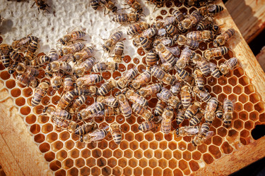 Similar image 22282584