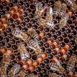 Similar image 22282587