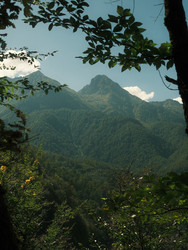 Similar image 22252136