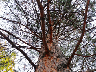 Similar image 22259819