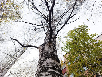 Similar image 22259820