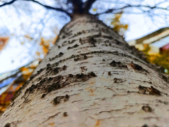 Similar image 22259821