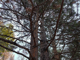 Similar image 22259822