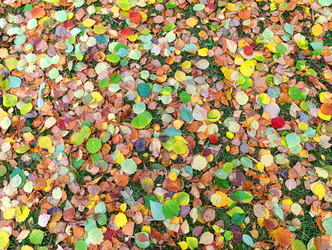 Similar image 22259824