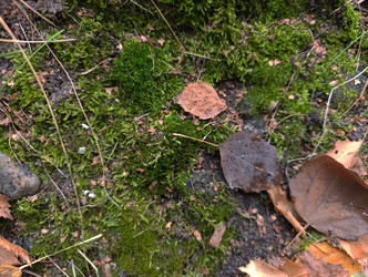 Similar image 22259825