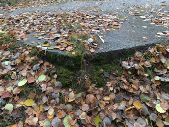 Similar image 22259827