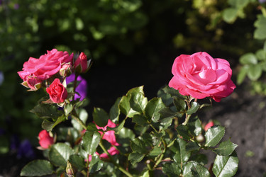 Similar image 22262303