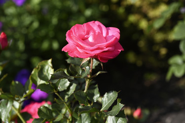 Similar image 22262306