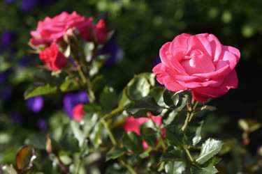 Similar image 22262310