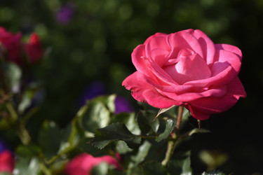 Similar image 22262311