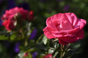 Similar image 22262313