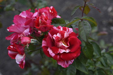 Similar image 22262315