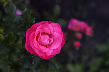 Similar image 22262317