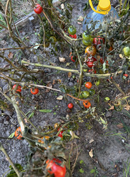 Similar image 22283705