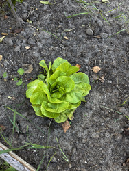 Similar image 22283706