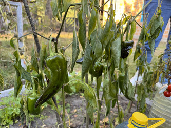 Similar image 22283707