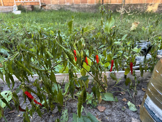 Similar image 22283708