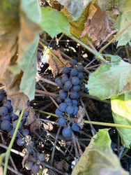 Similar image 22283709