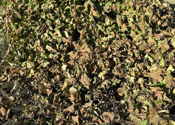 Similar image 22283710