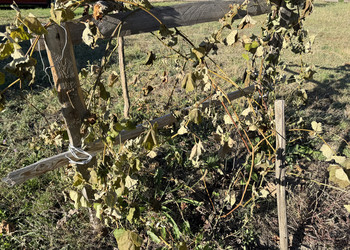 Similar image 22283711