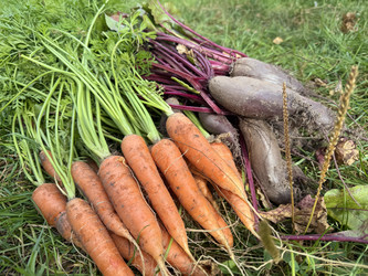 Similar image 22283712