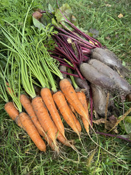 Similar image 22283713