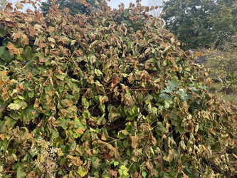 Similar image 22283714