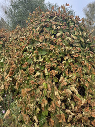 Similar image 22283715