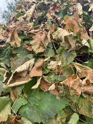 Similar image 22283716