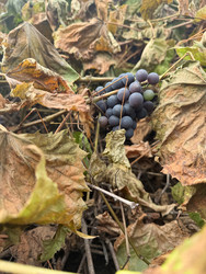 Similar image 22283718