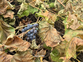 Similar image 22283719