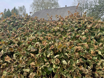 Similar image 22283720