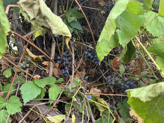 Similar image 22283722