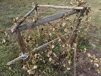 Similar image 22283723