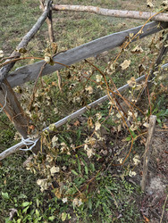 Similar image 22283724