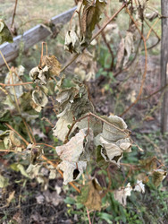 Similar image 22283725