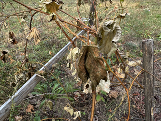 Similar image 22283726