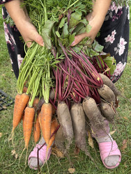 Similar image 22283727