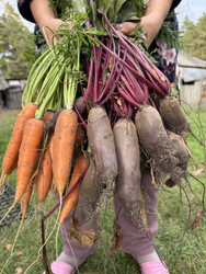 Similar image 22283728