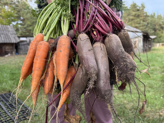 Similar image 22283729