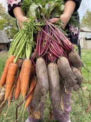 Similar image 22283730