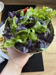 Similar image 22283734