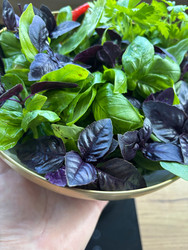 Similar image 22283735