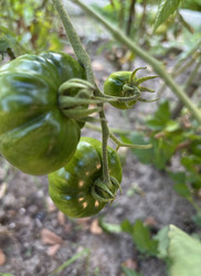 Similar image 22283736