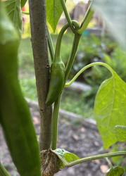 Similar image 22283737