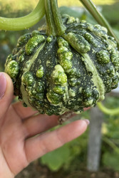 Similar image 22283740