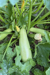 Similar image 22283741