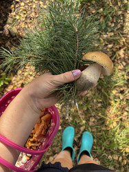 Similar image 22283742