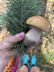 Similar image 22283743